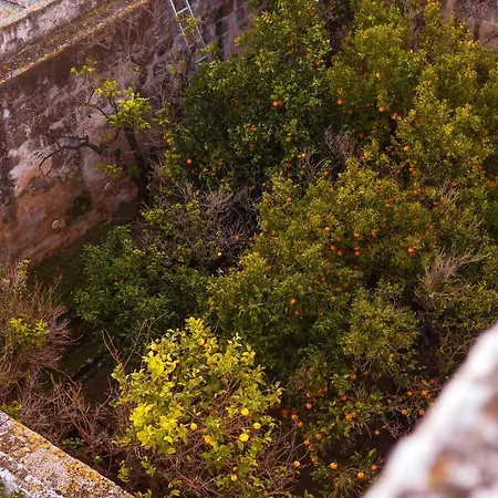 Masseria Torre Abate Risi